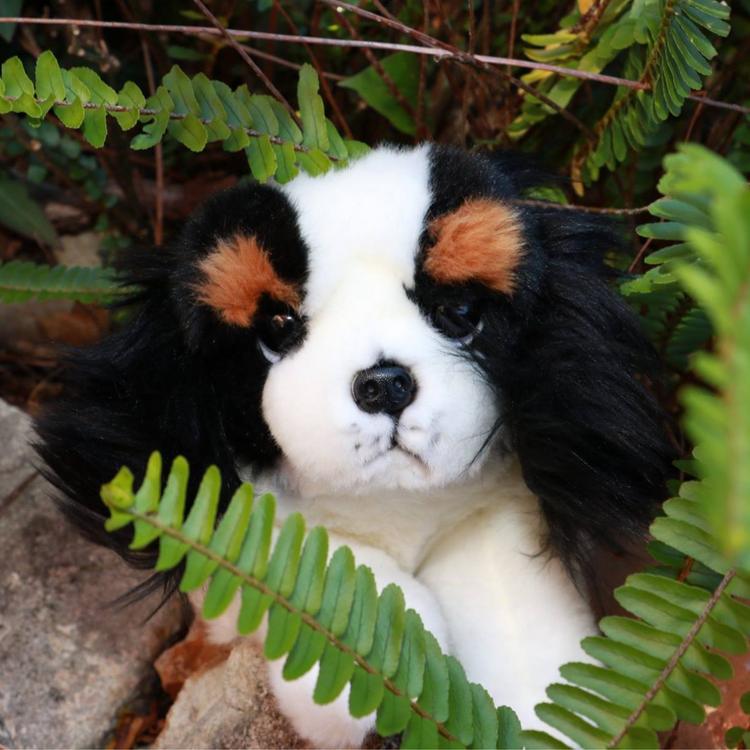 Bocchetta Plush Toys