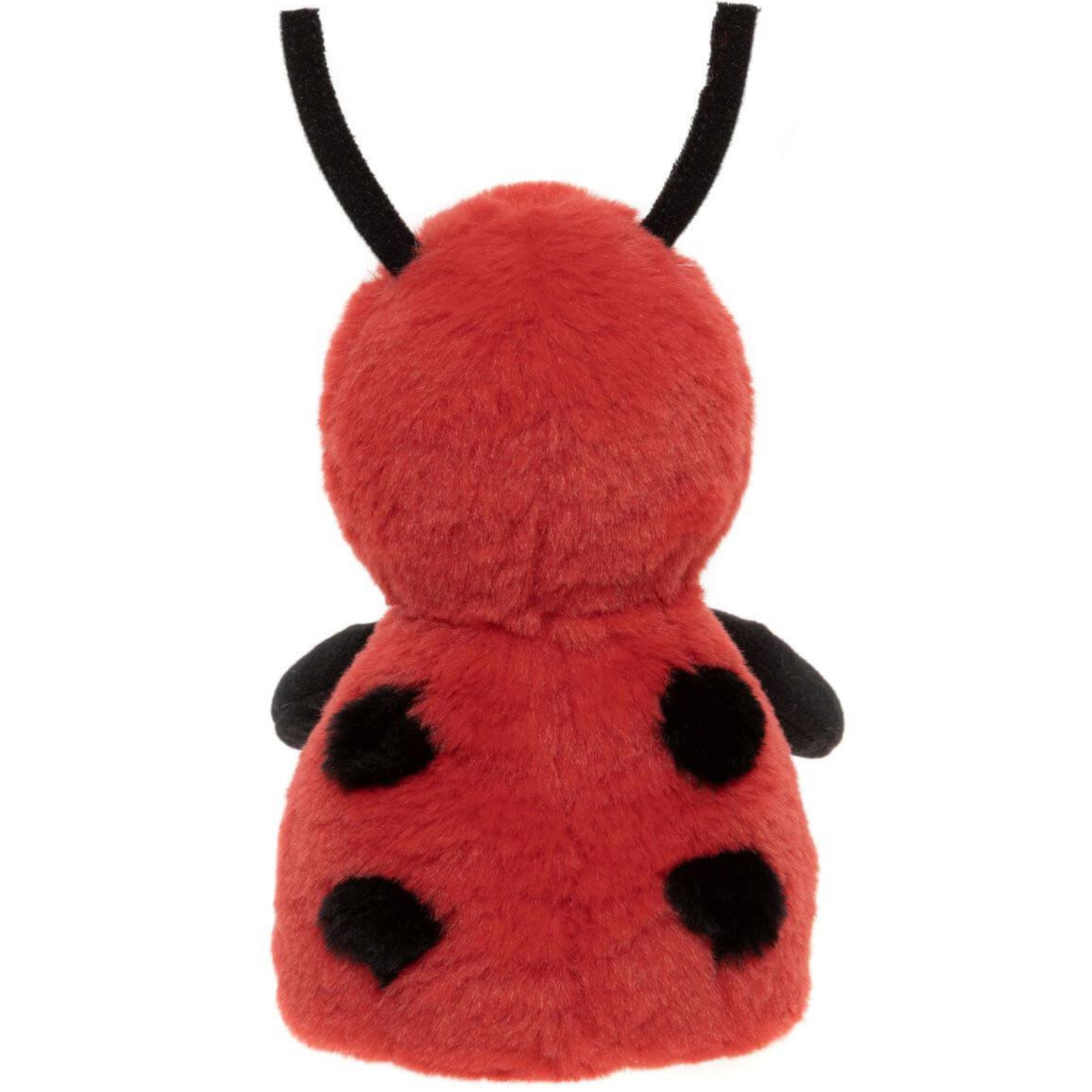 Leaf Ladybird