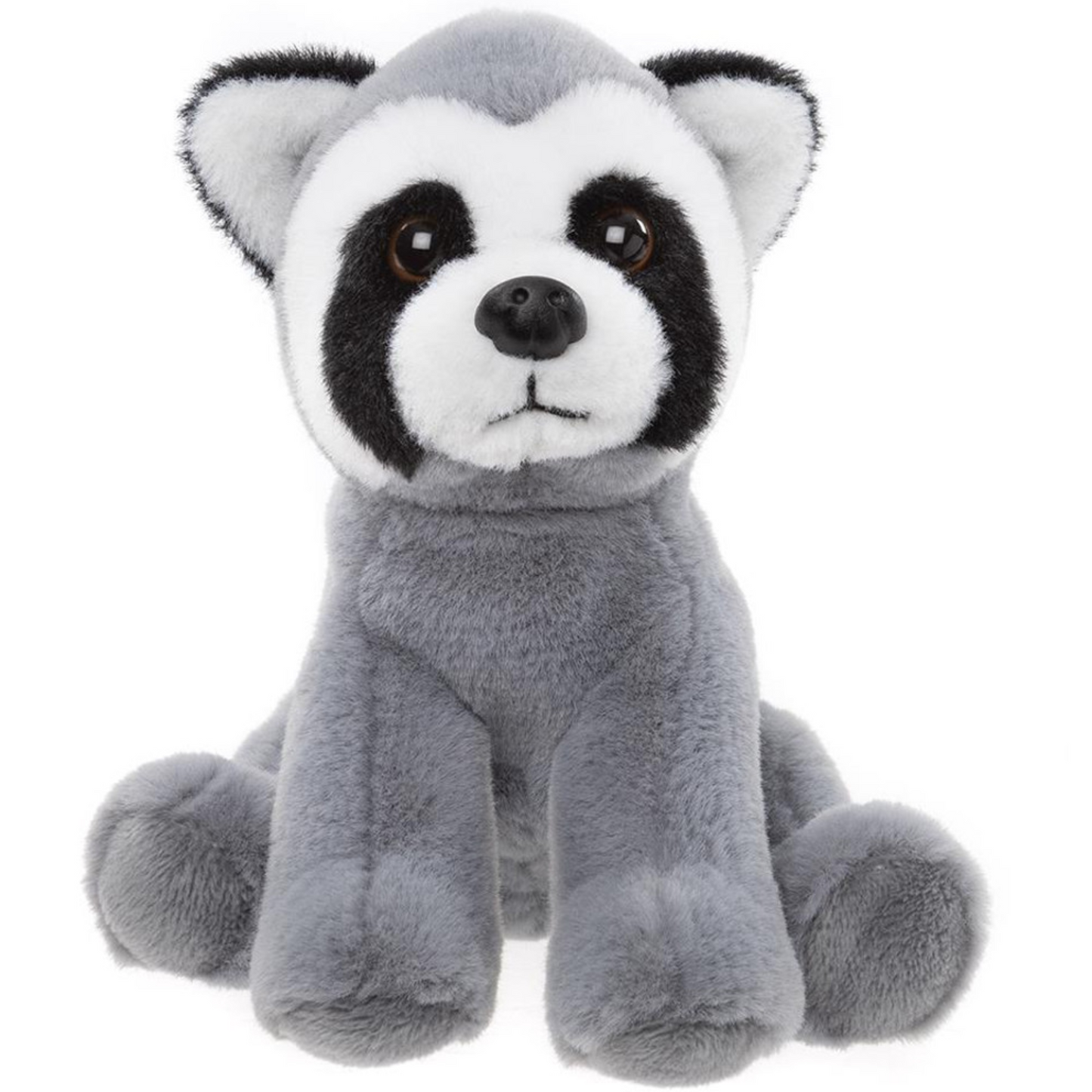 Raccoon