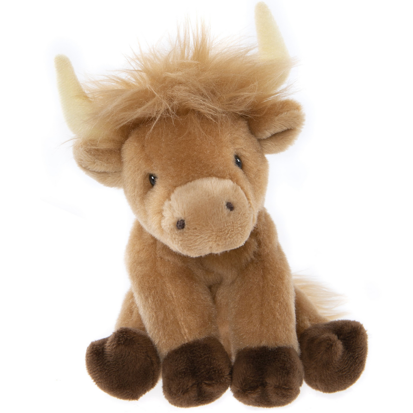 Highland Cow