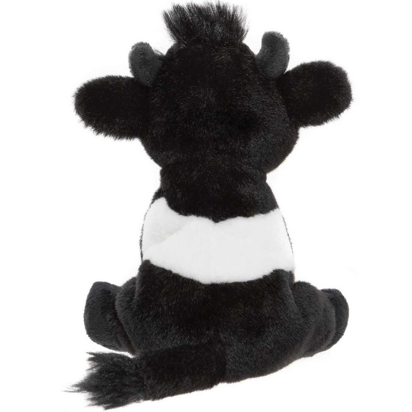 Belted Cow