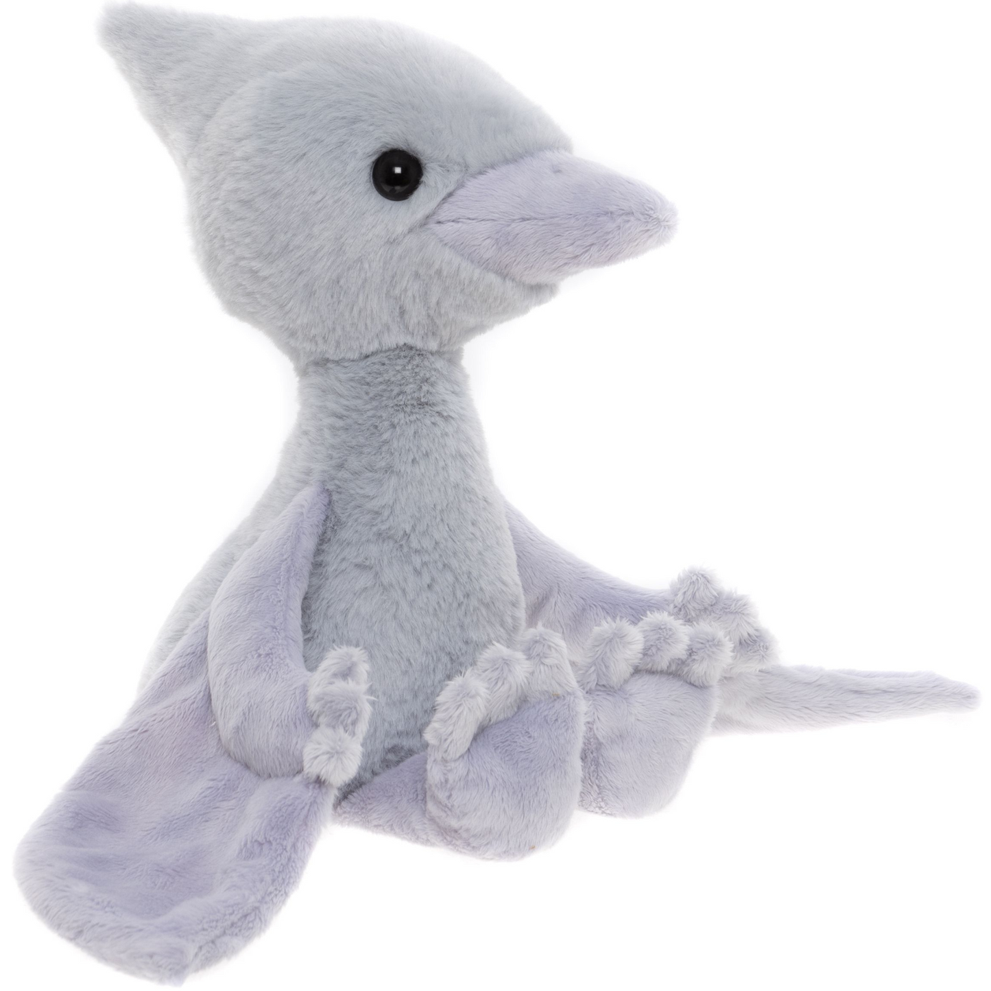 Wings Pterodactyl