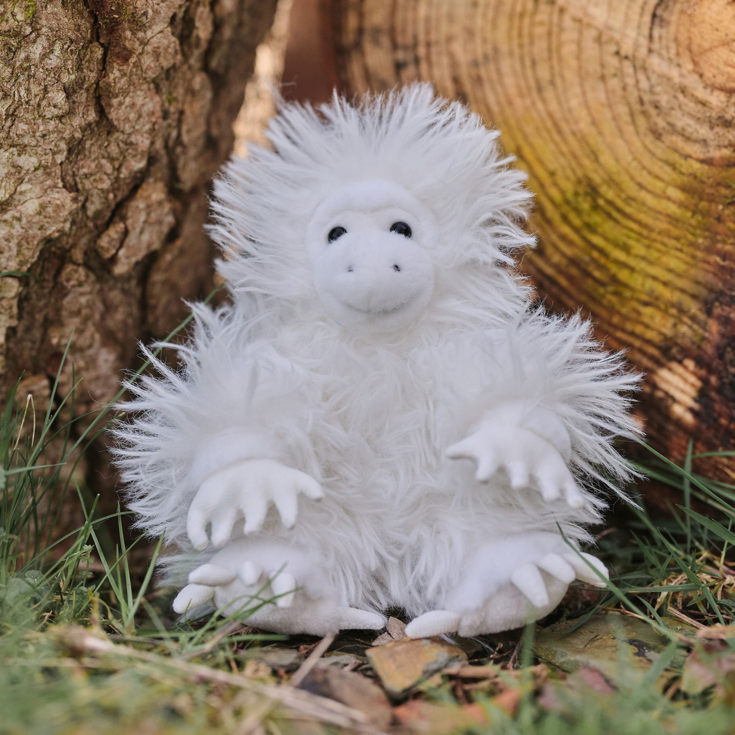 Yeti
