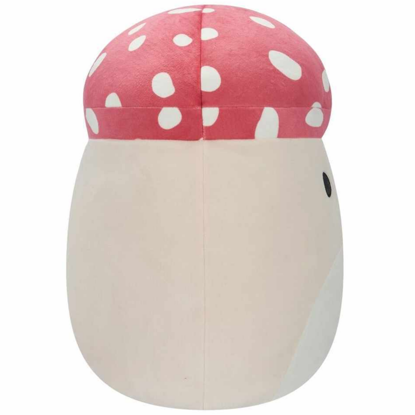 Malcolm Mushroom