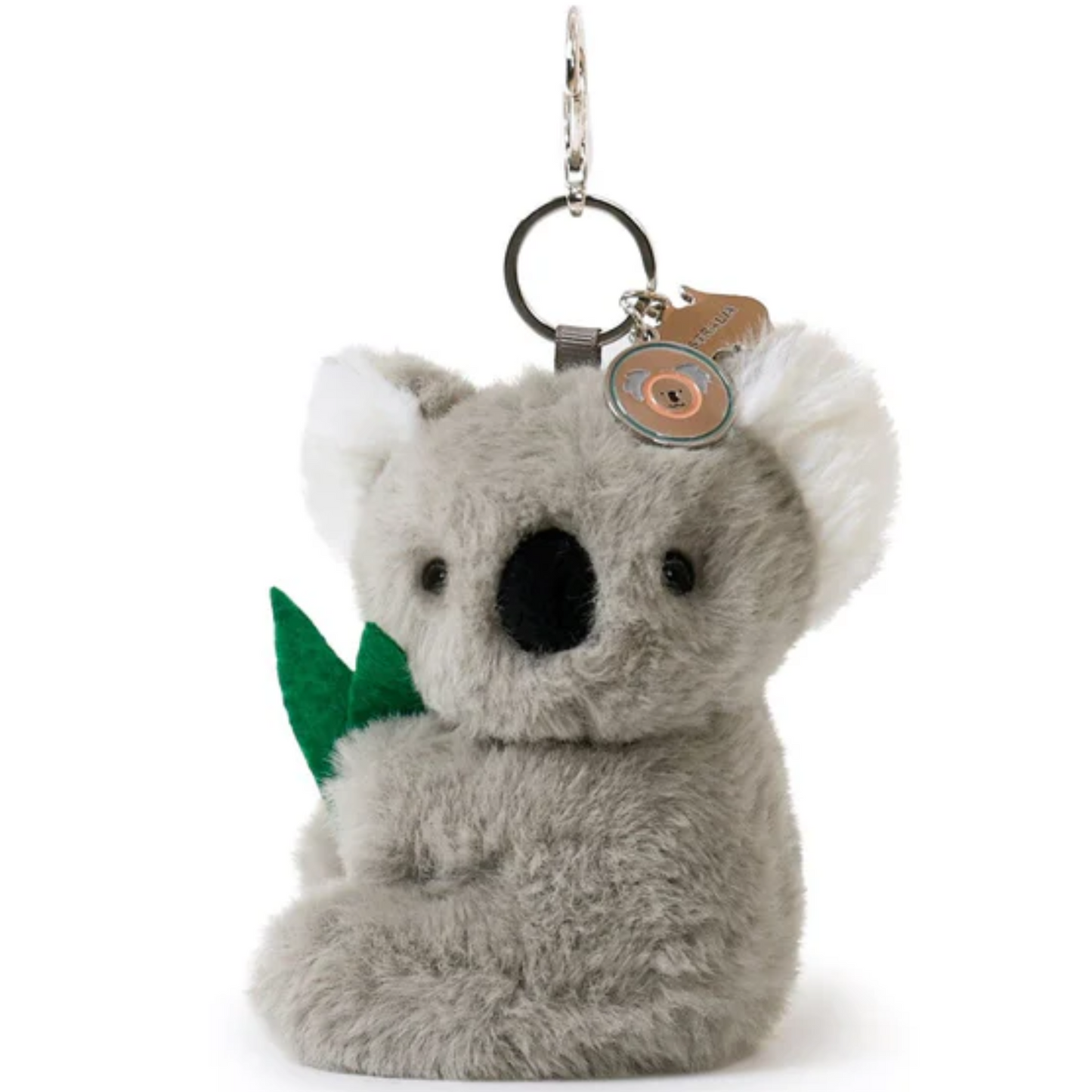 Kobi Koala