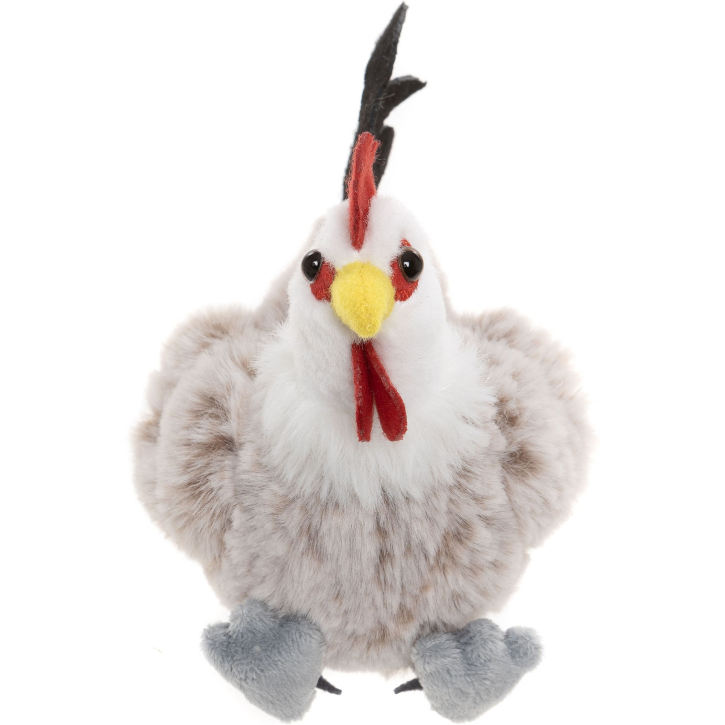 Rooster