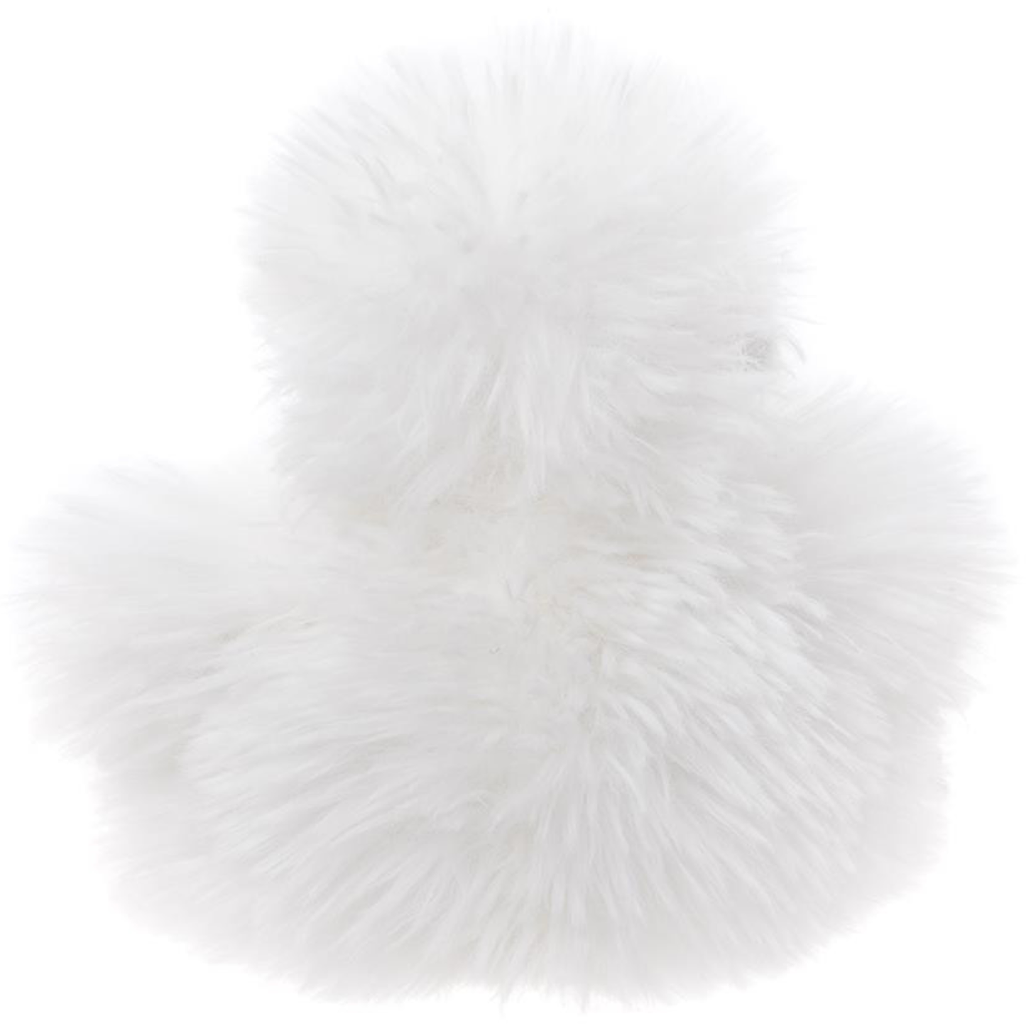 Yeti
