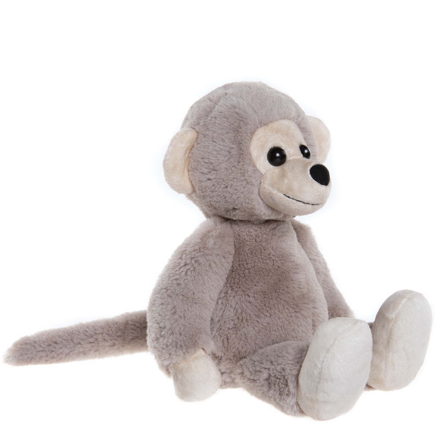 Cheeky Monkey