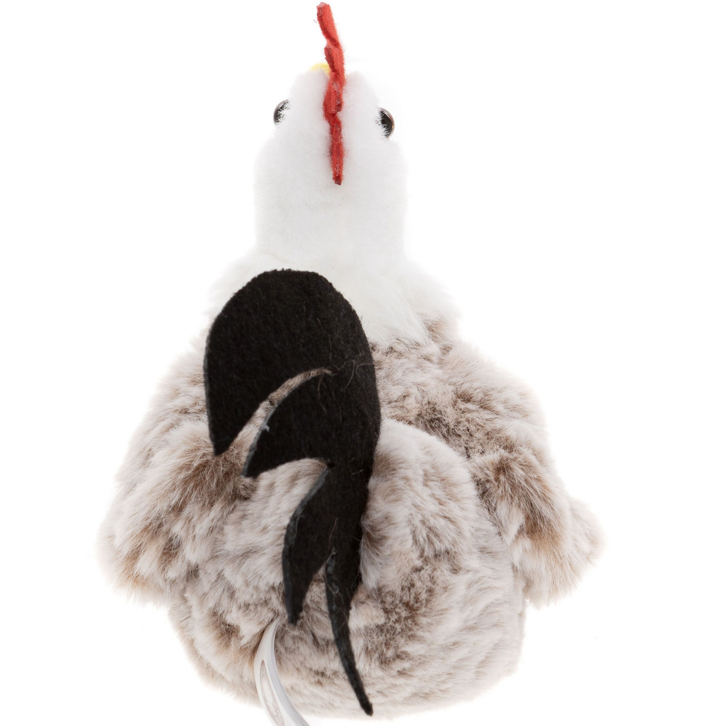 Rooster