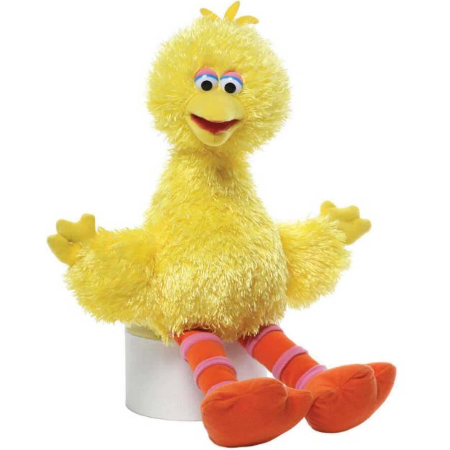 Big Bird