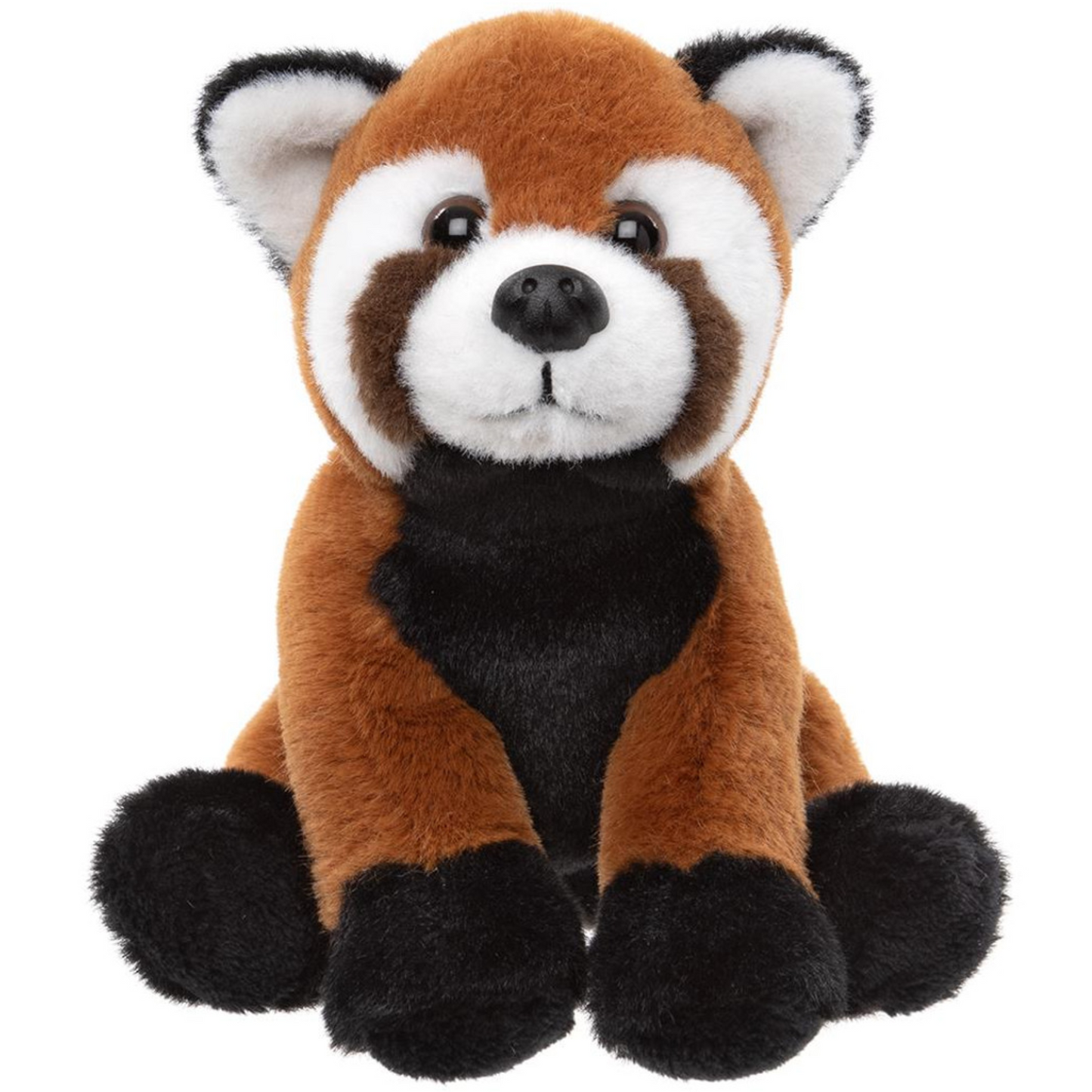 Red Panda