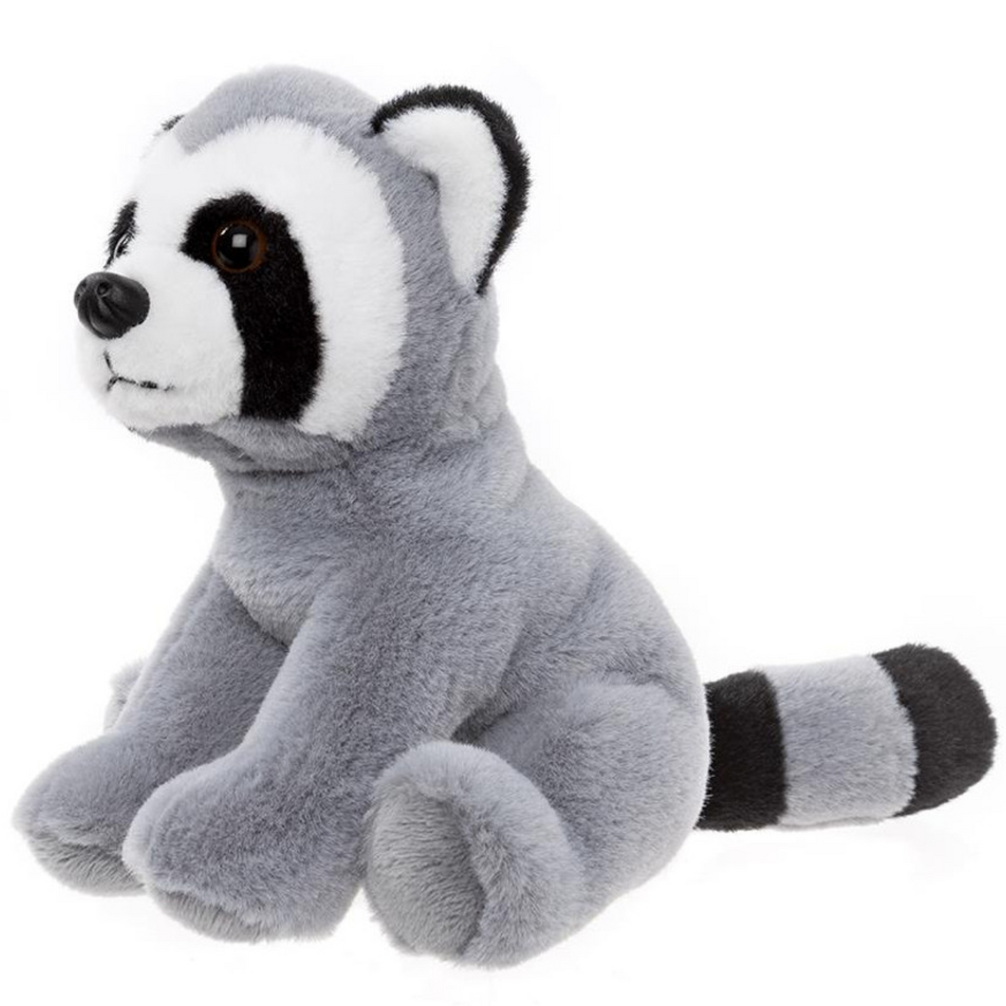 Raccoon