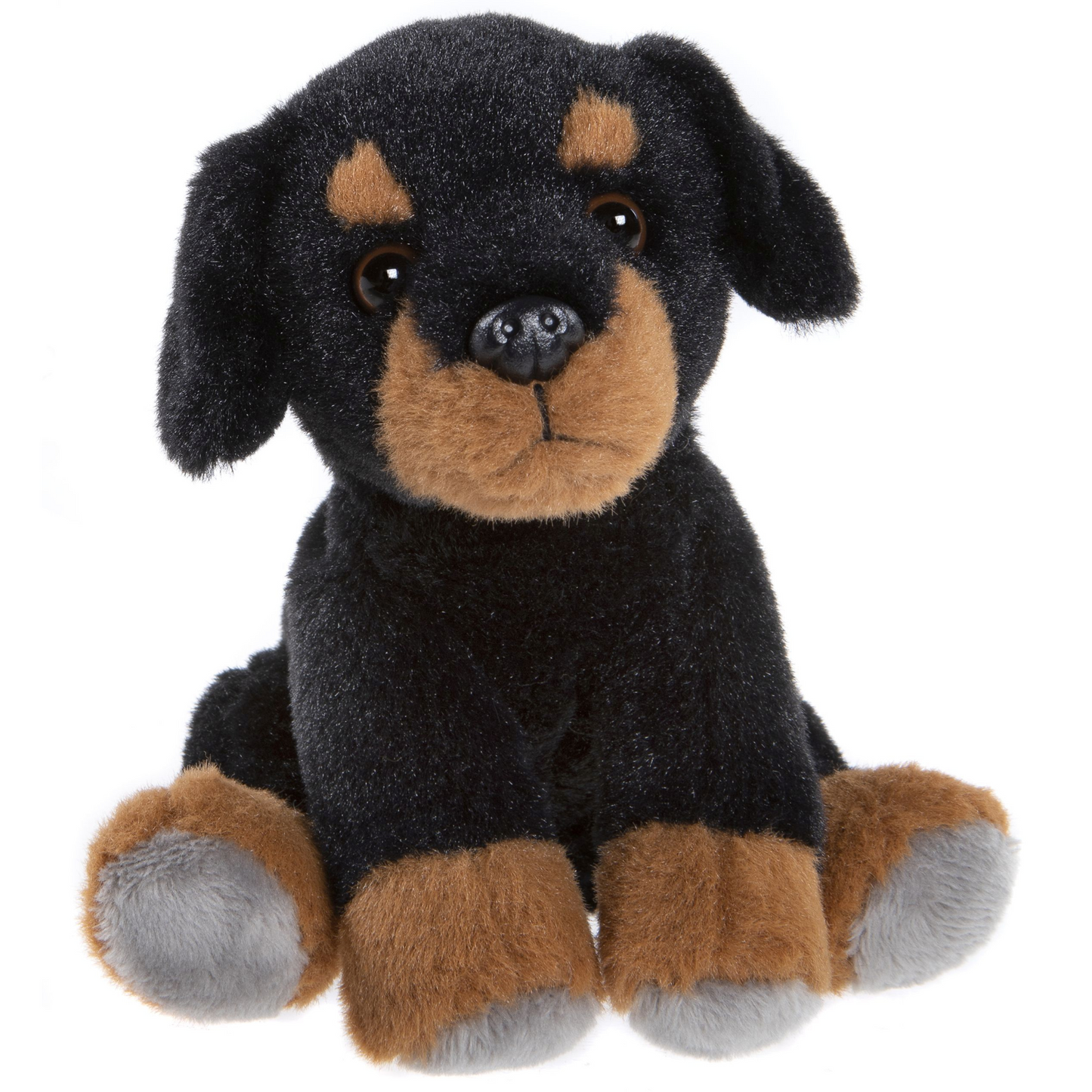 Rottie Dog