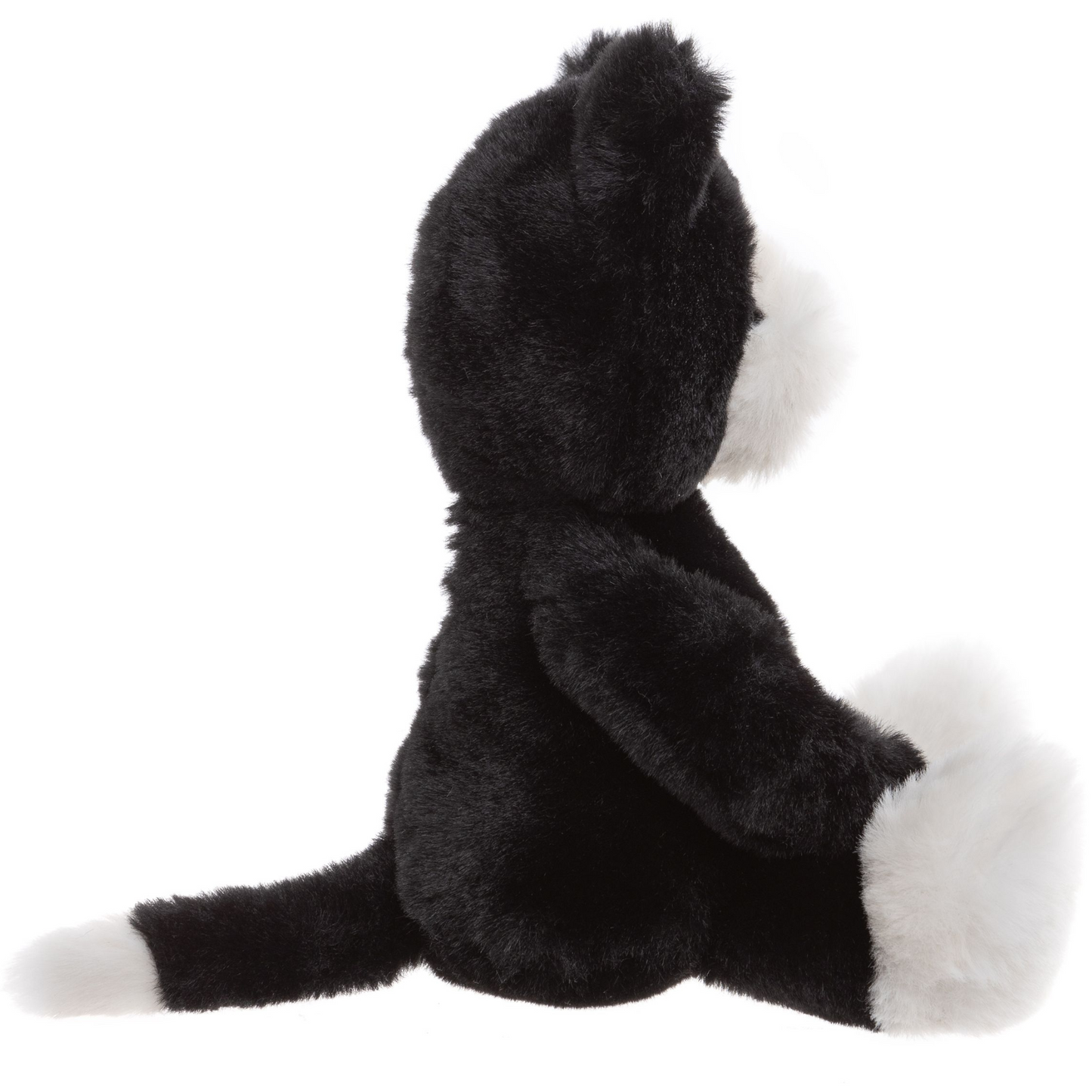 Puddy Kitten Black