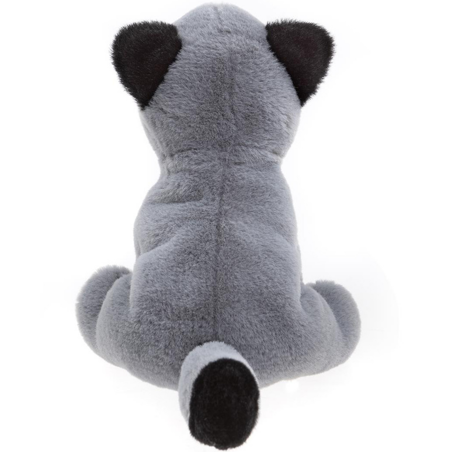 Raccoon