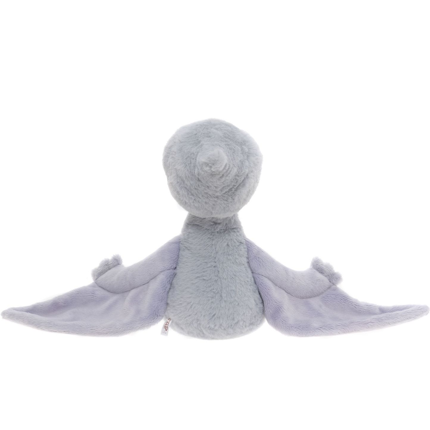 Wings Pterodactyl