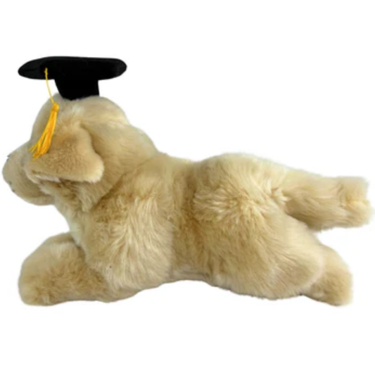 Graduation Maple Golden Retriever Puppy