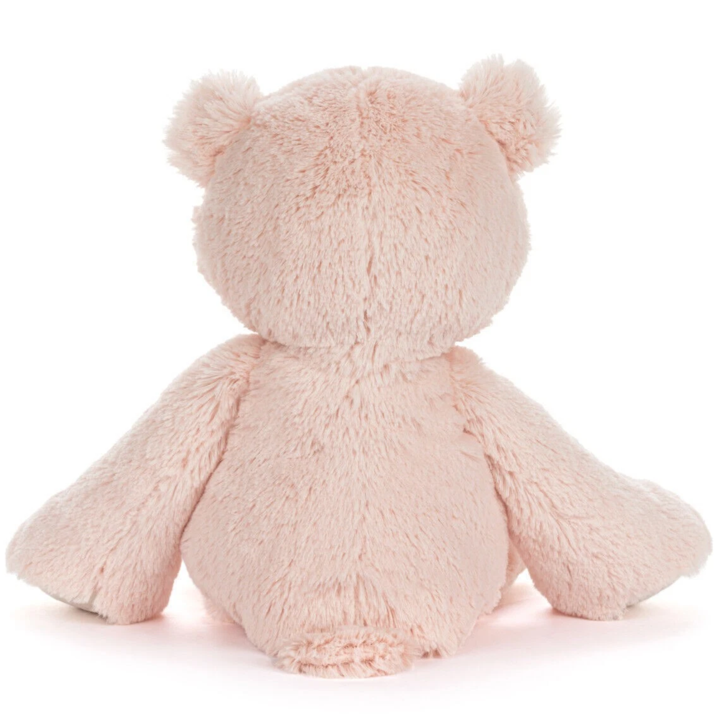 My First Teddy Bear