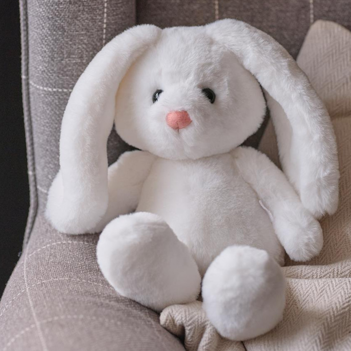 Bramble Bunny