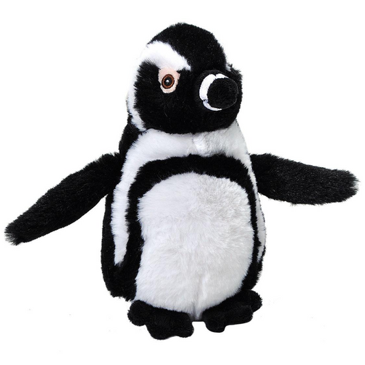 Ecokins Black Footed Penguin