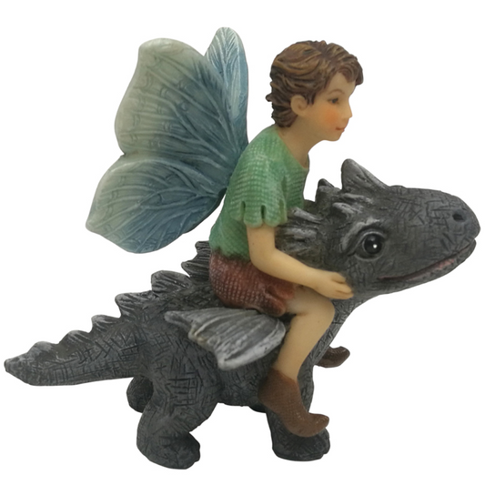 Fairy Draco with Dragon