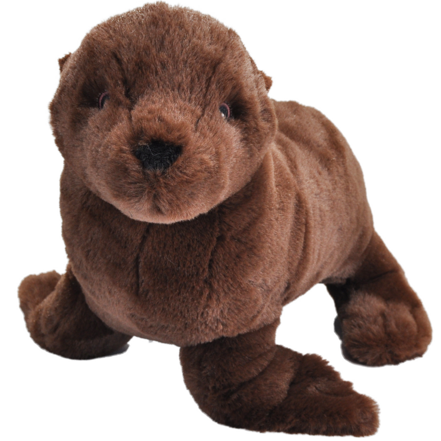 Ecokins Sea Lion