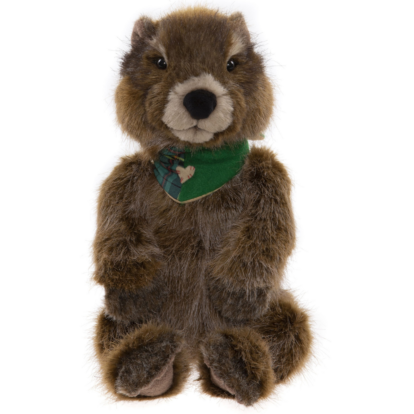 Woodchuck