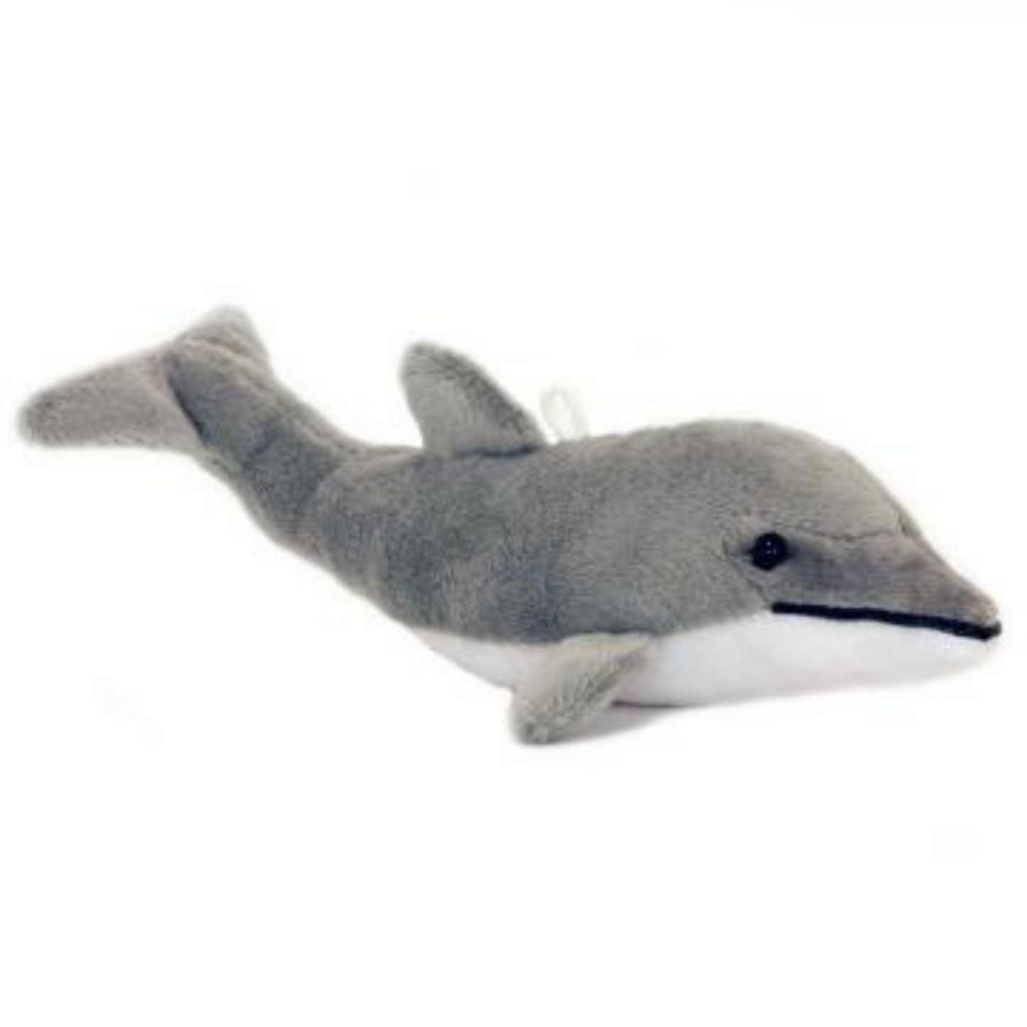 Mini Dolphin