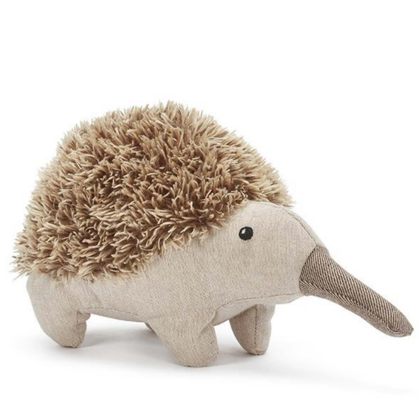 Spike the Echidna