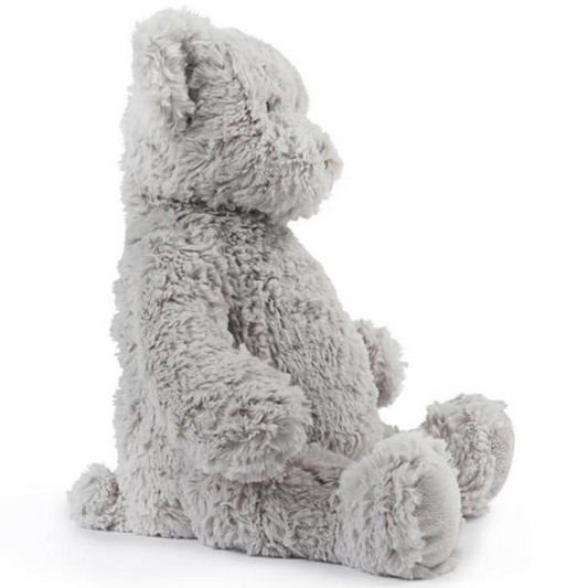 Neddy the Latte Teddy