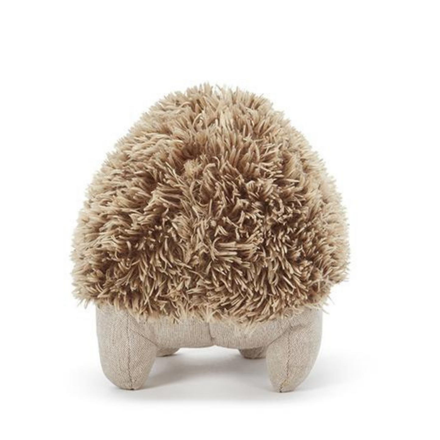 Spike the Echidna