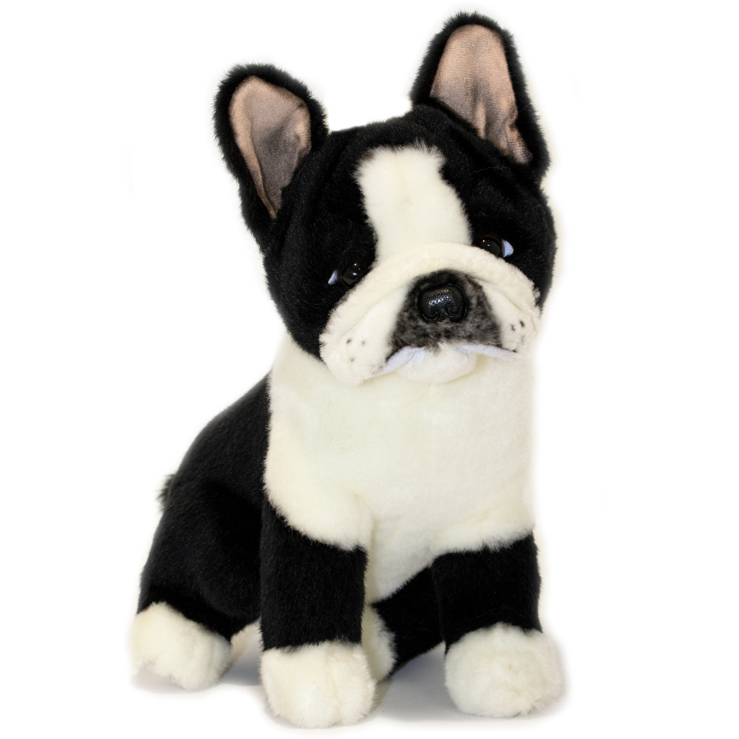 Pierre Pied French Bulldog