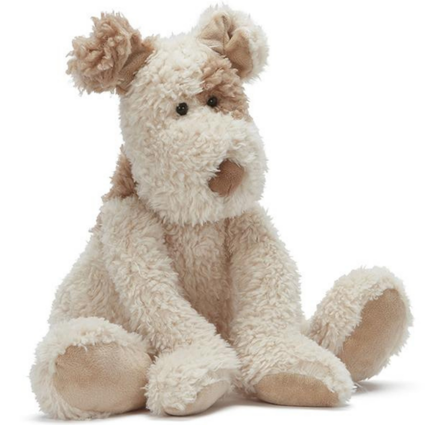 Buddy the Dog