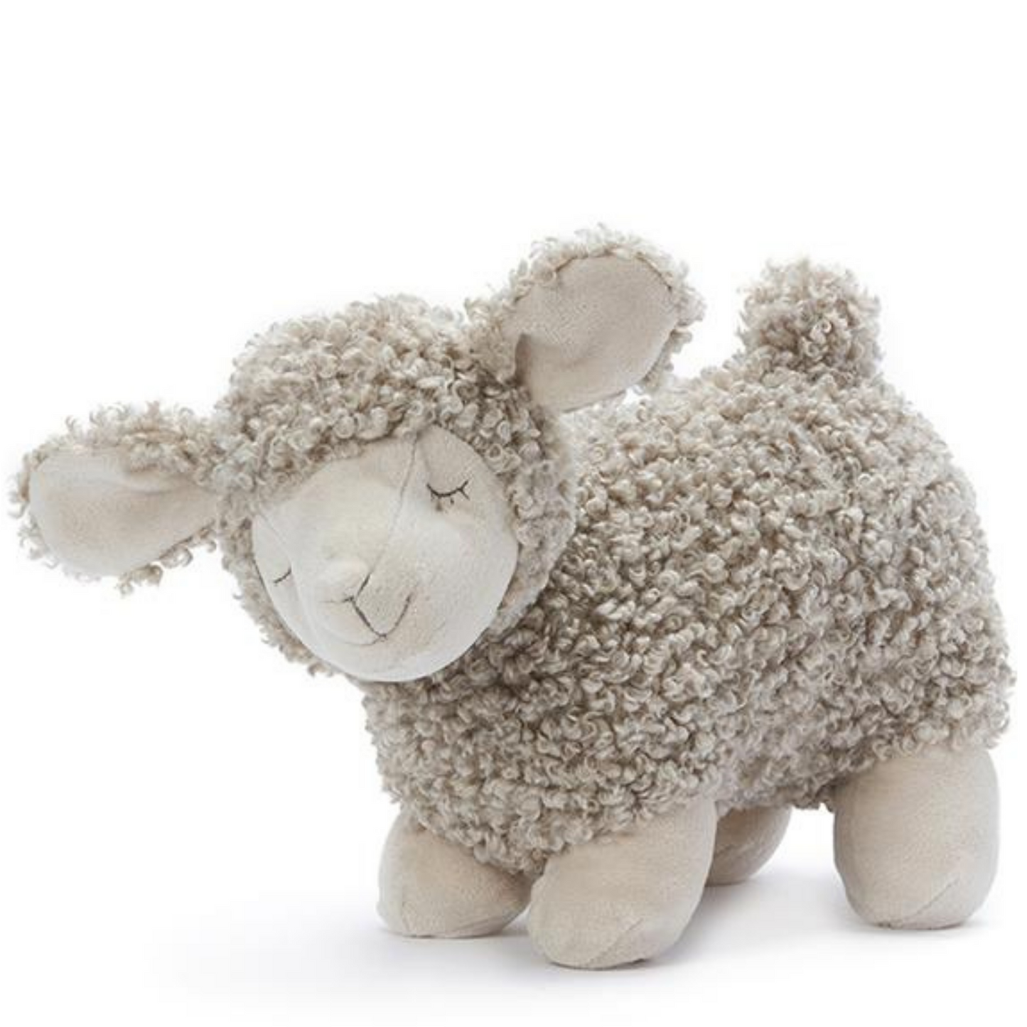 Charlotte the Cream Sheep