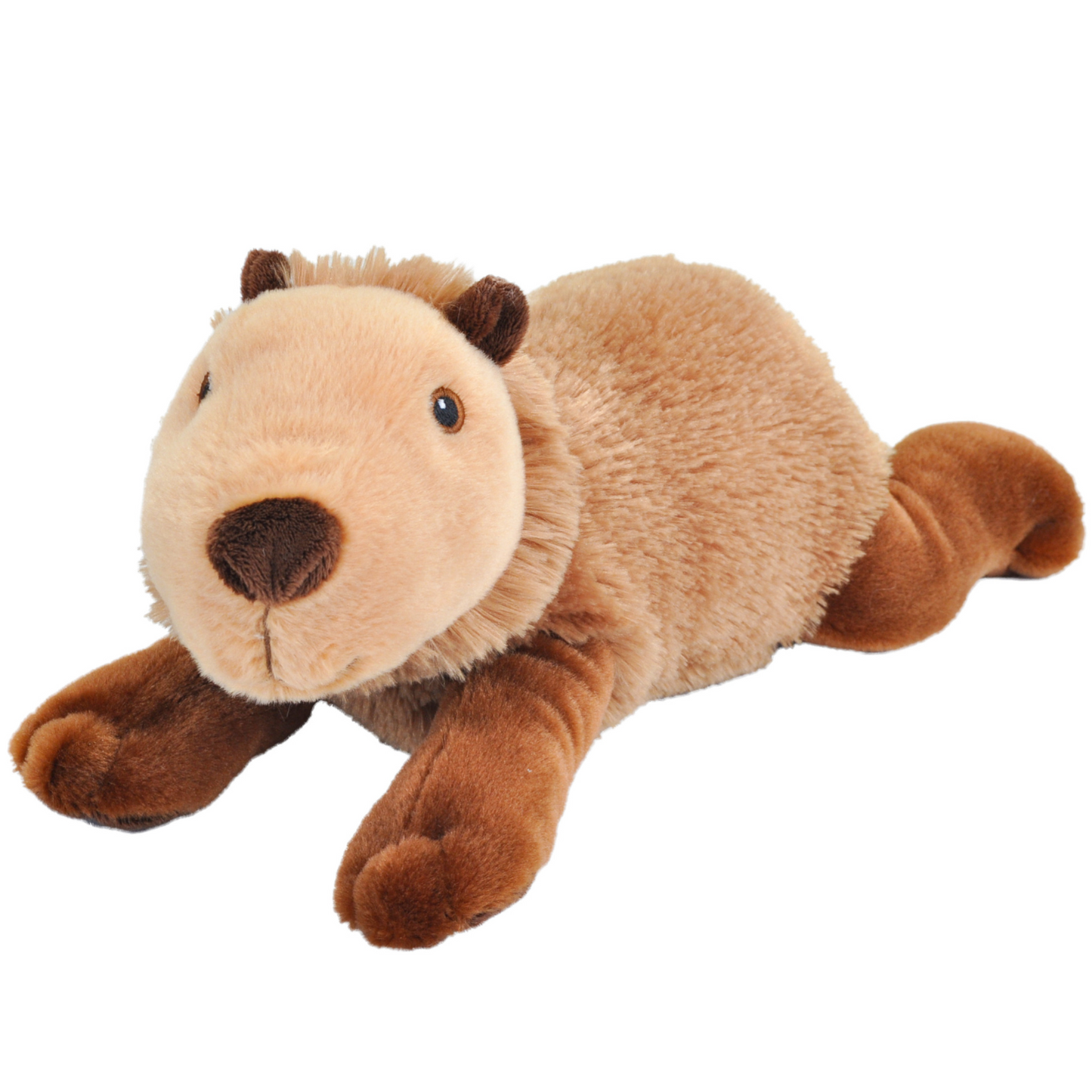 Ecokins Capybara