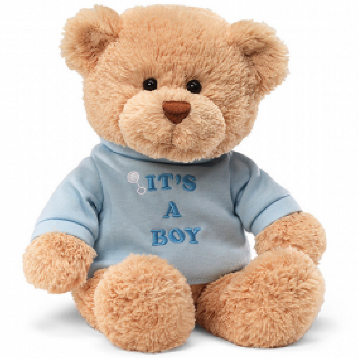 It's a Boy Teddy Bear