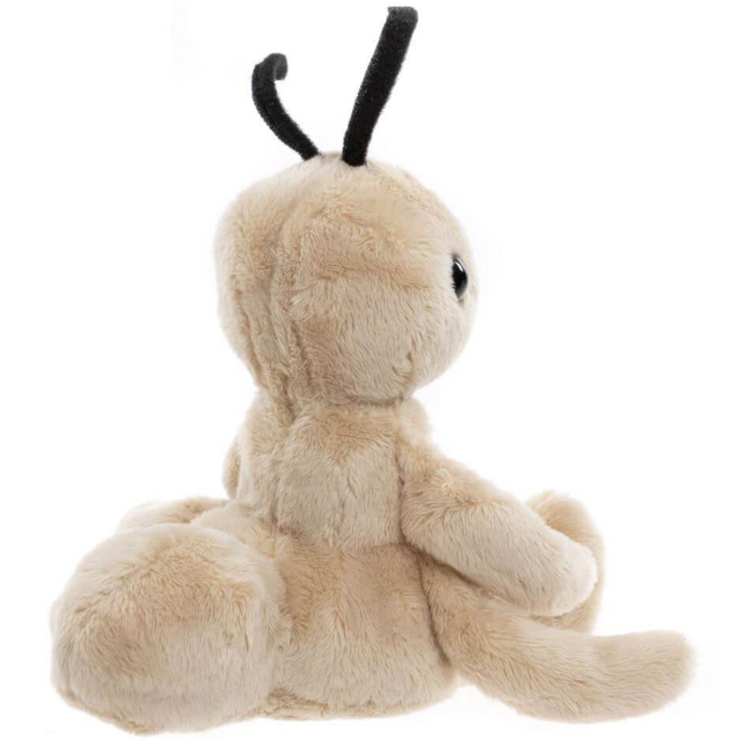 Tony Ant