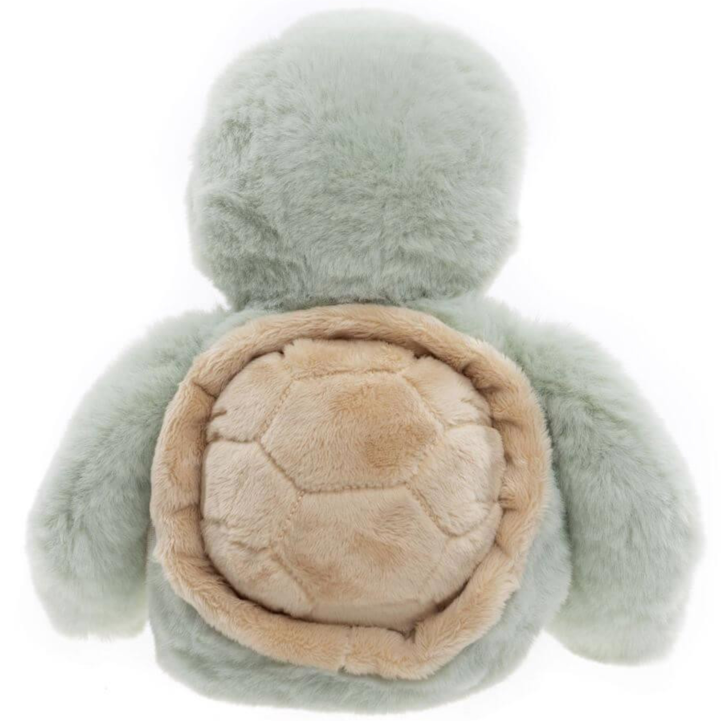 Timmy Tortoise