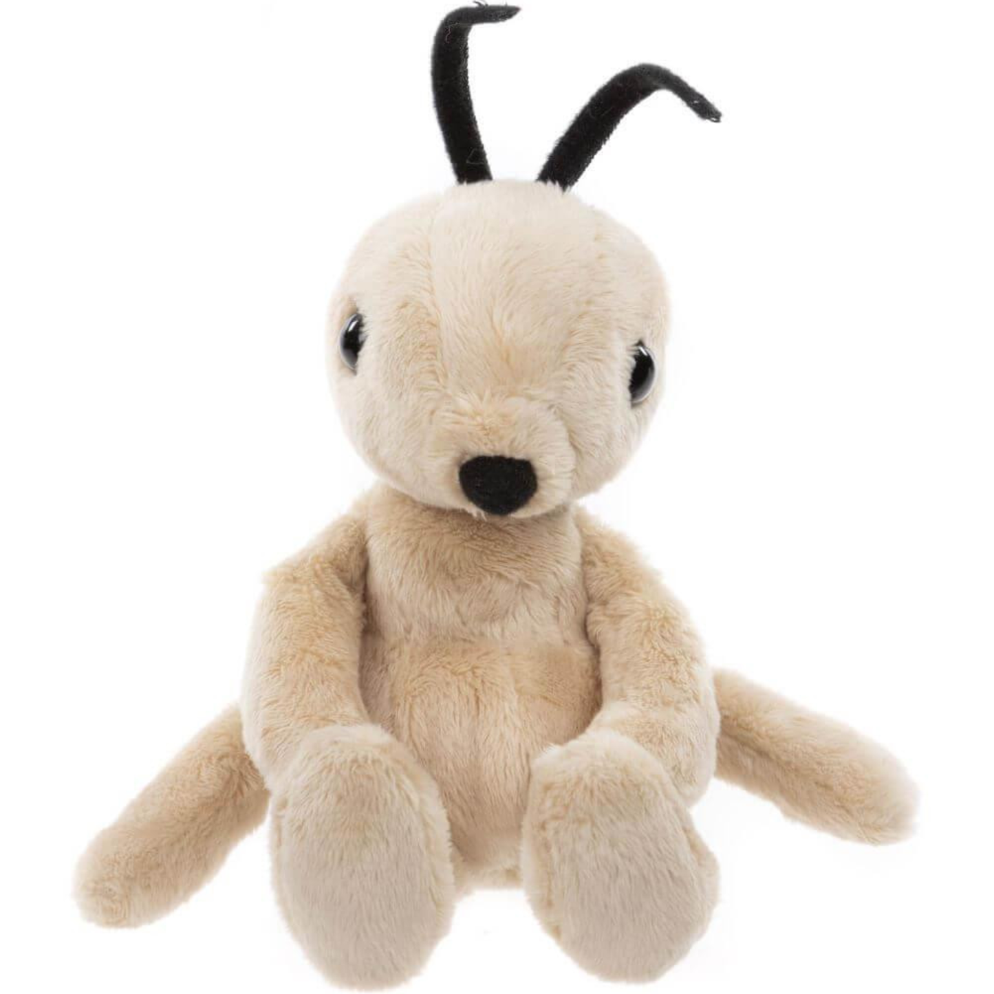 Tony Ant