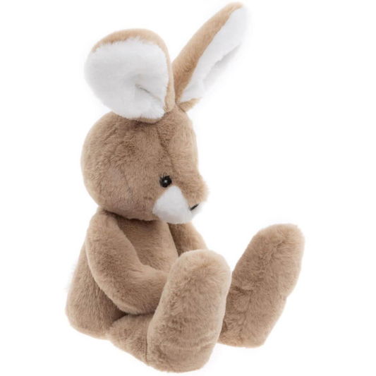 Harry Hare