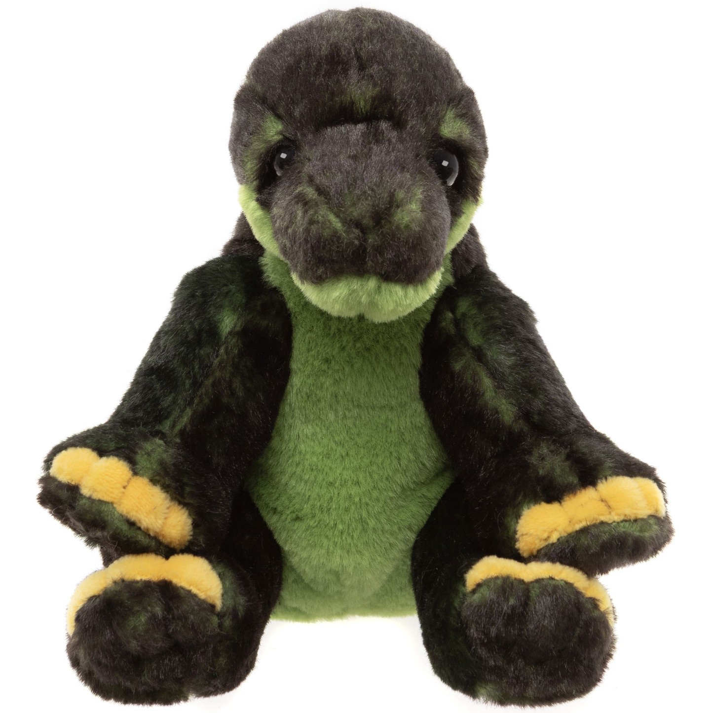 Stegosaurus