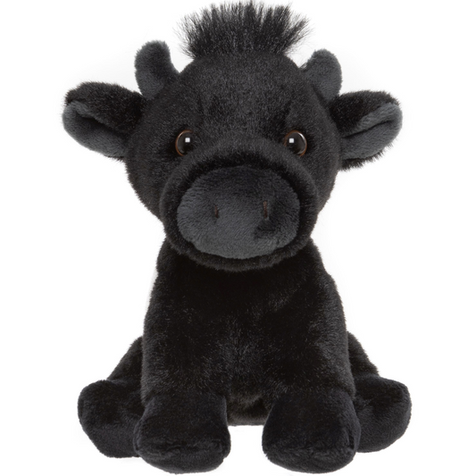 Belted Cow