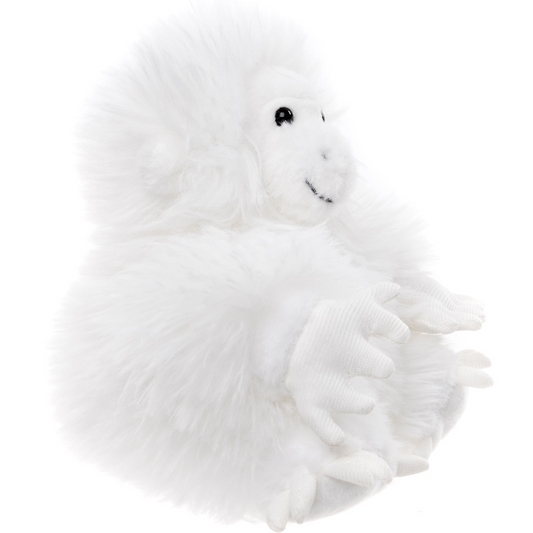 Yeti