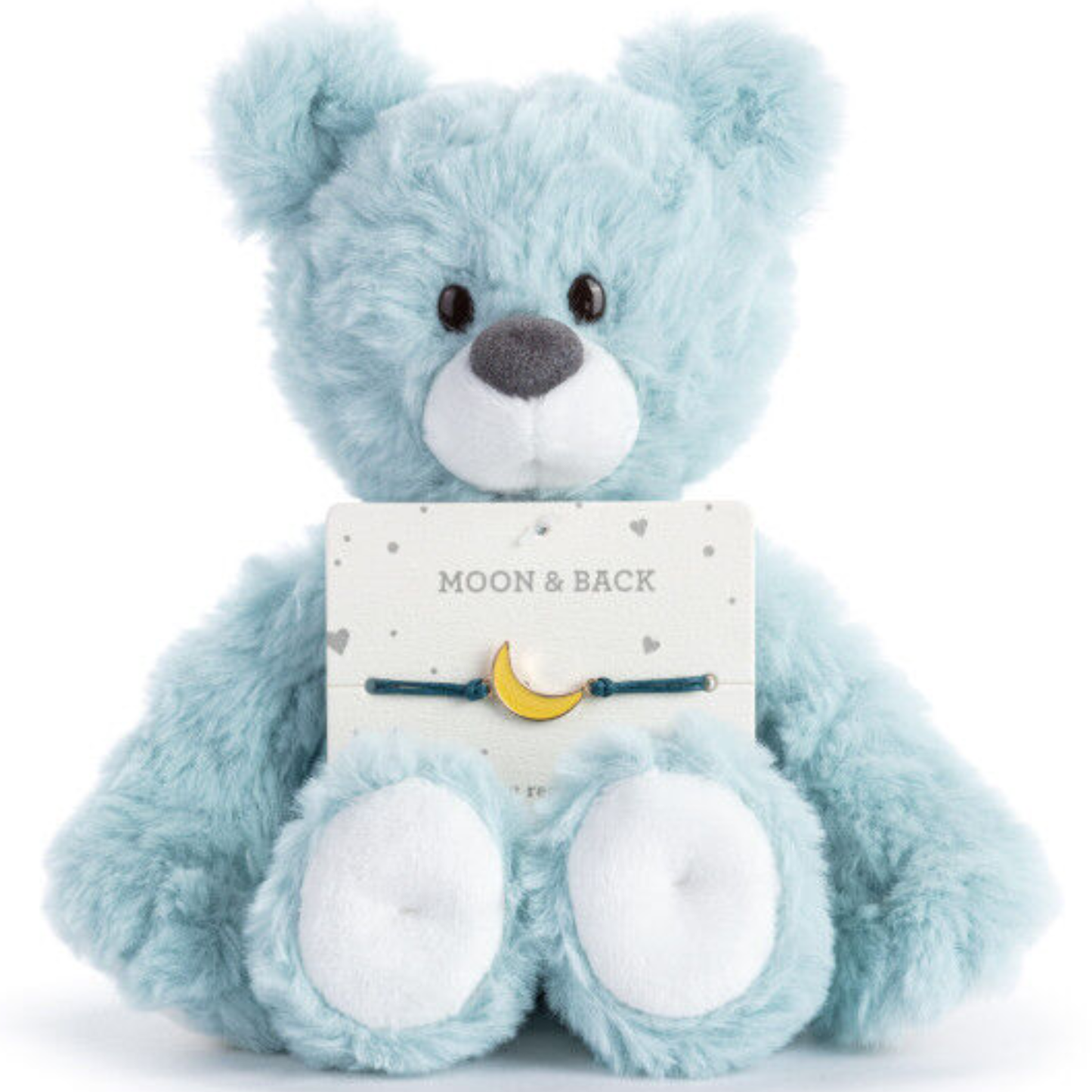 Moon and Back Blue Bear