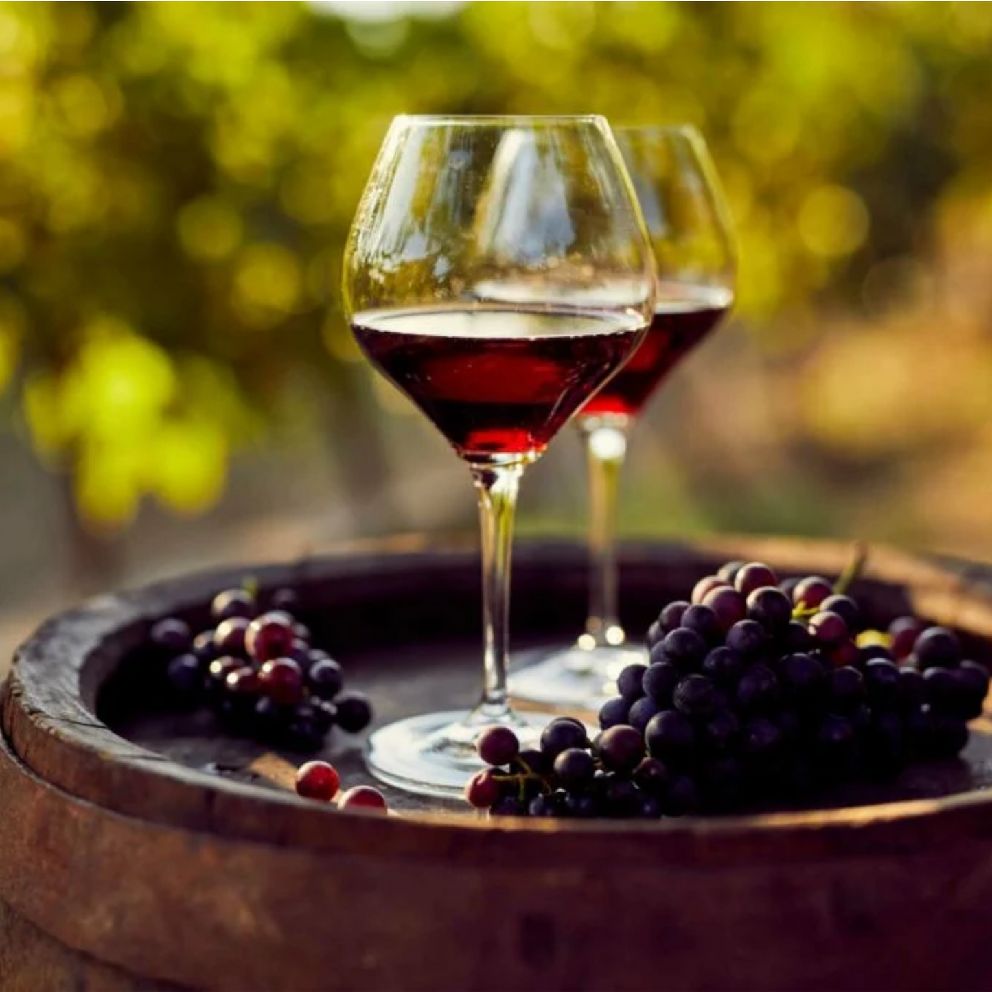 Harvest Wine Cellar | Cream Jar