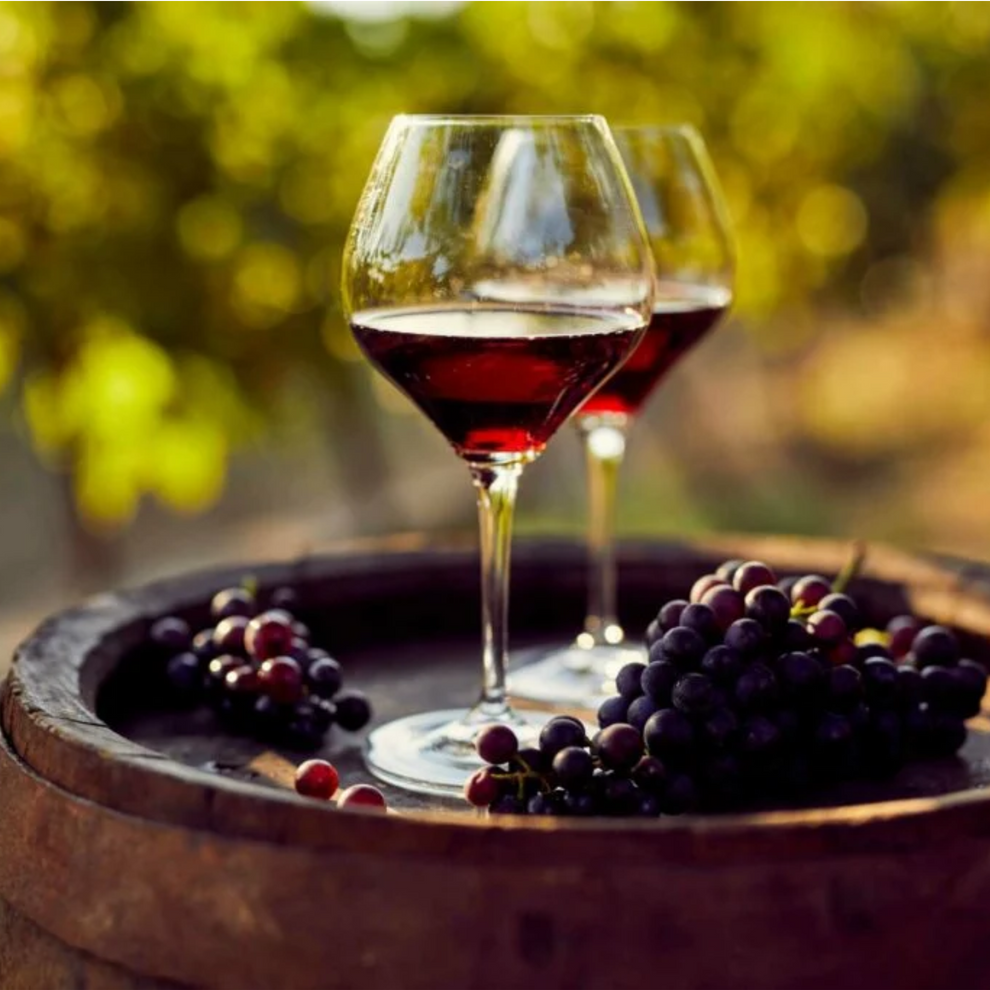 Harvest Wine Cellar | Creamery Fragrance Melts
