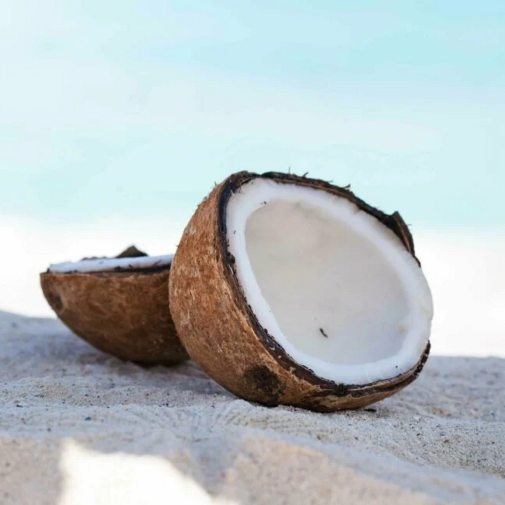 White Driftwood & Coconut | Creamery Fragrance Melts
