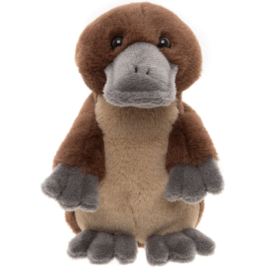 Duck Billed Platypus