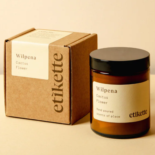 Wilpena in Cactus Flower