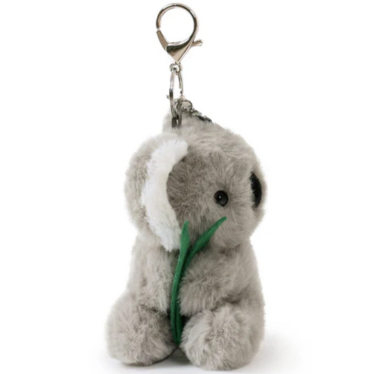 Kobi Koala